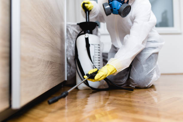 Best Emergency Pest Control  in Huntsville, AR