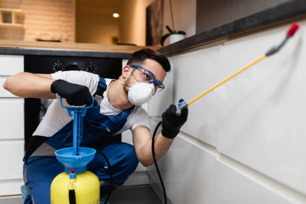 Best Rat Extermination Near Me  in Huntsville, AR