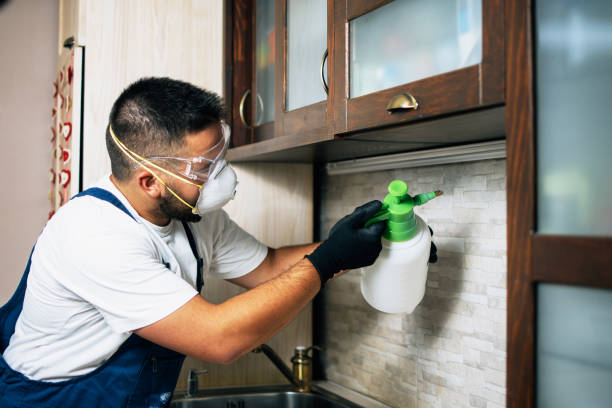 Best Wasp Removal Services  in Huntsville, AR