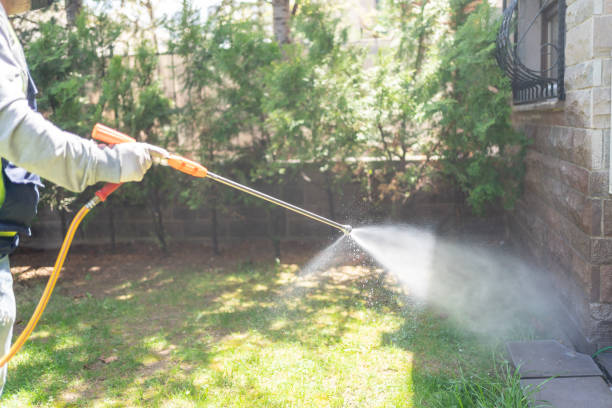 Best Mosquito Control Services  in Huntsville, AR