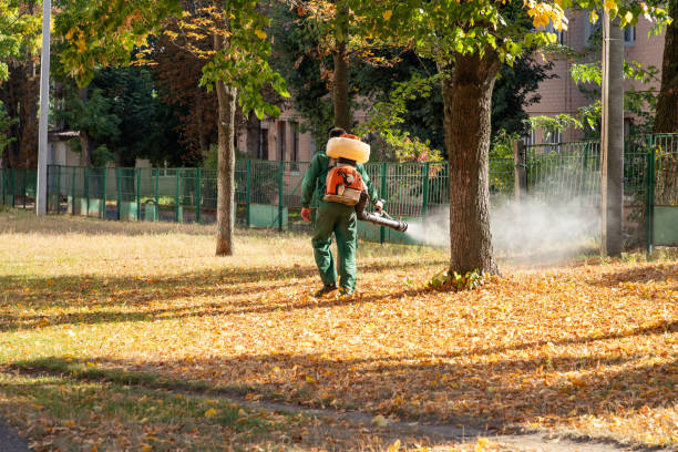 Best Spider Control Near Me  in Huntsville, AR