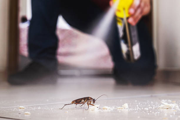 Huntsville, AR Pest Control Company